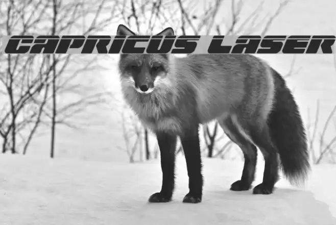 Capricus Laser Font examples