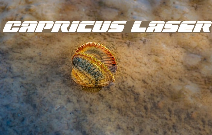 Capricus Laser Font examples