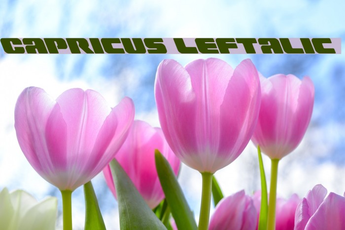 Capricus Leftalic Example 2