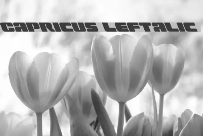 Capricus Leftalic Font examples