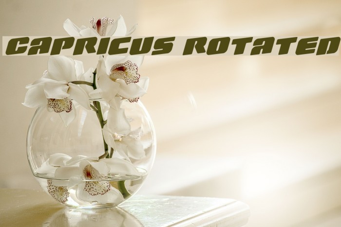 Capricus Rotated Font examples