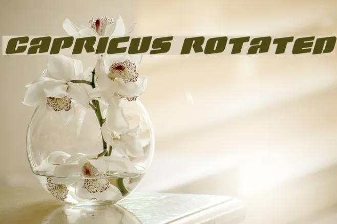 Capricus Rotated Example 2