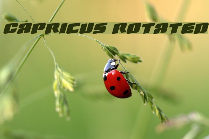Capricus Rotated Font examples