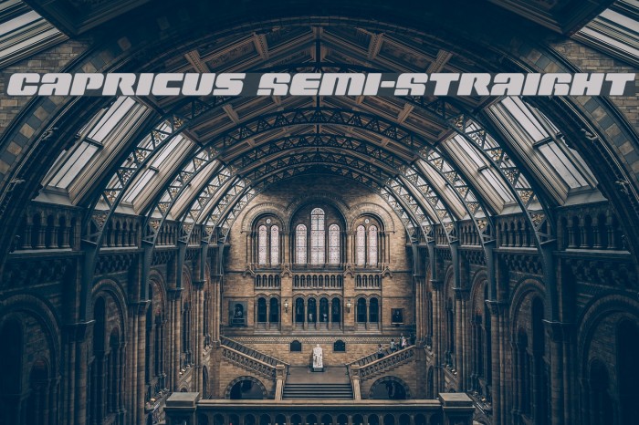 Capricus Semi-Straight Font examples