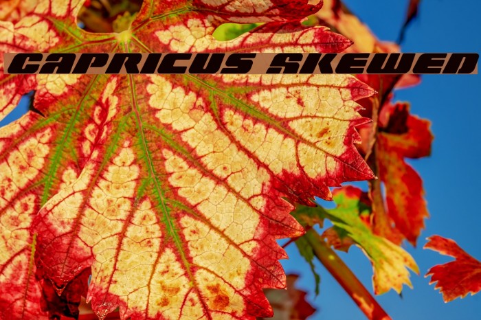 Capricus Skewed Font examples