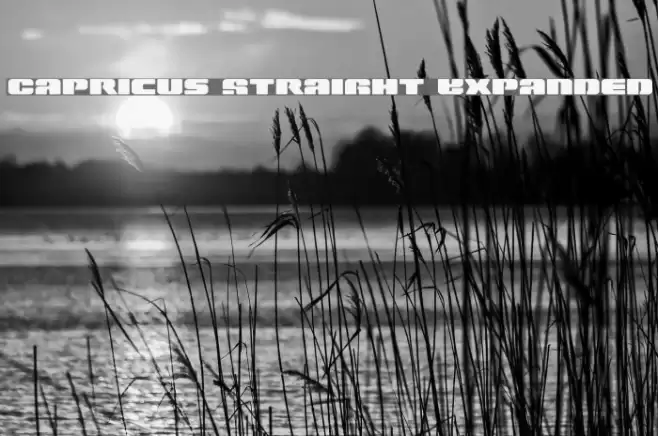 Capricus Straight Expanded Font examples