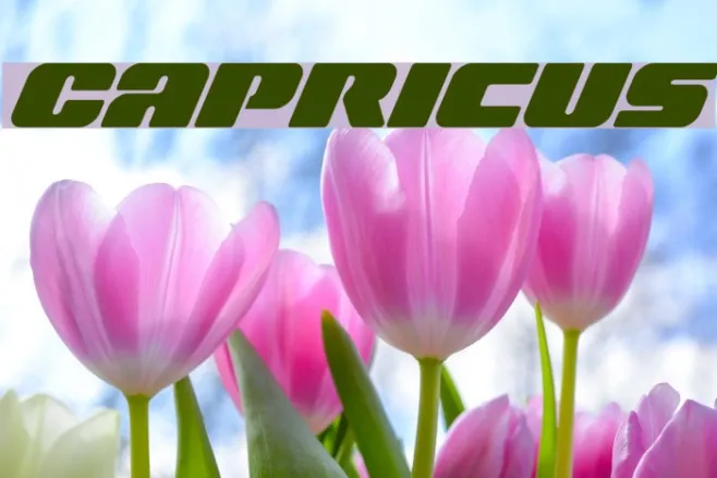 Capricus Example 1
