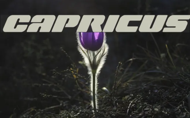 Capricus Example 2
