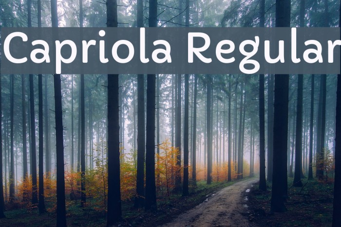 Capriola Regular Font examples