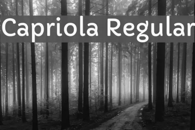 Capriola Regular フォント examples
