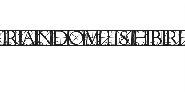 CapsRandomishBricks Logo