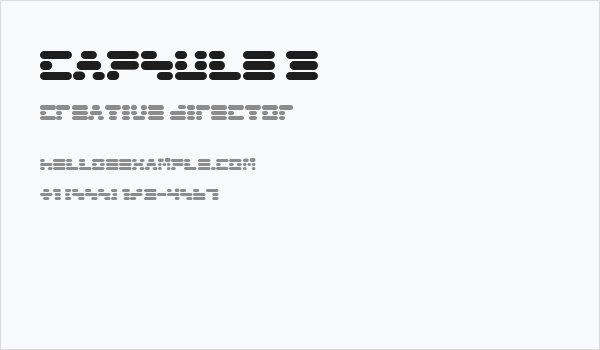 Capsule 3 Business Card