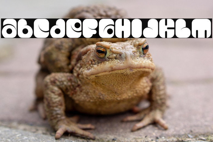 Capsule Robot Example 3