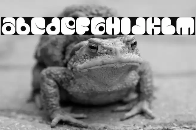 Capsule Robot Font examples