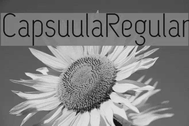 CapsuulaRegular Font examples