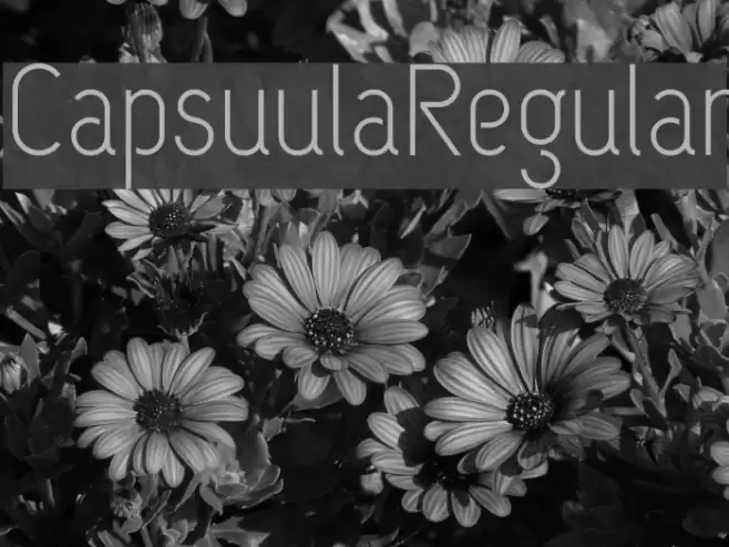 CapsuulaRegular Font examples