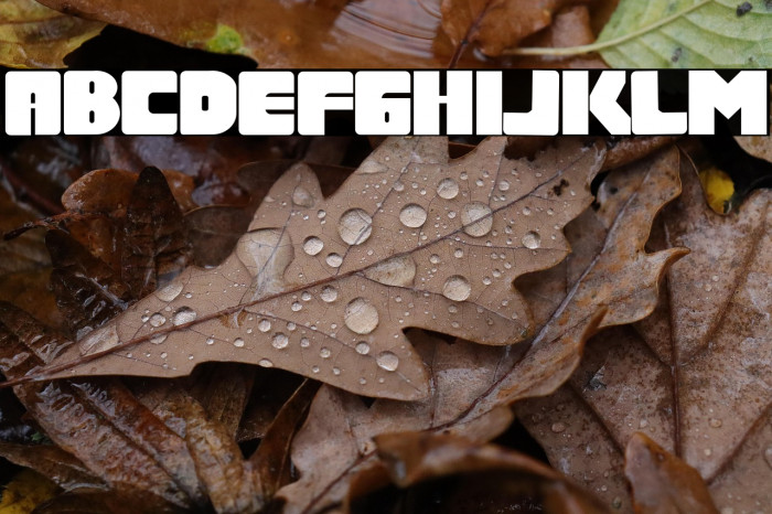 Captain Badman Example 1