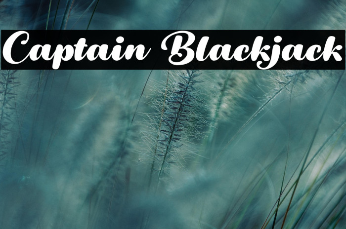 Captain Blackjack Example 3