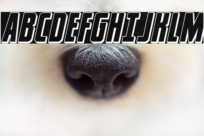 Captain Canaveral 3D Italic Example 2