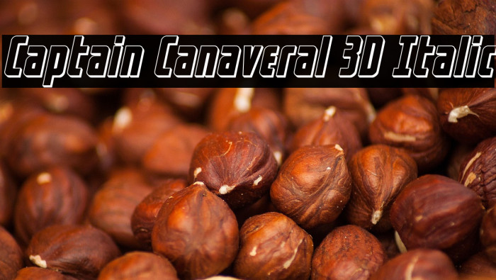 Captain Canaveral 3D Italic Example 2
