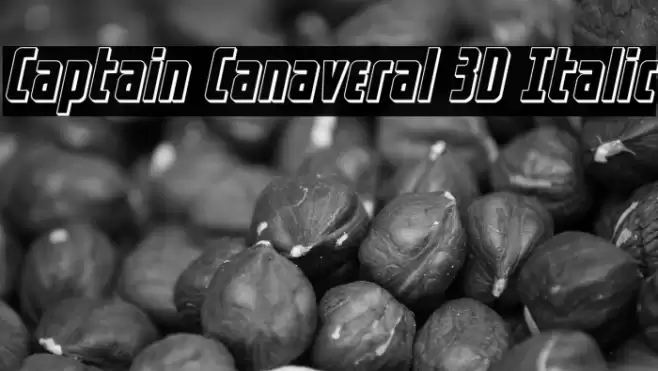Captain Canaveral 3D Italic Font examples