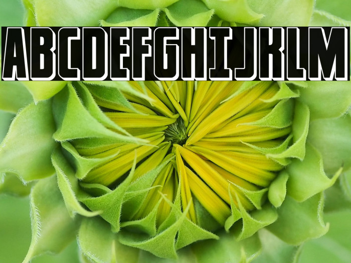 Captain Canaveral 3D Example 3