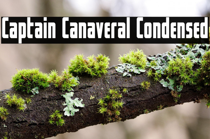 Captain Canaveral Condensed Example 2