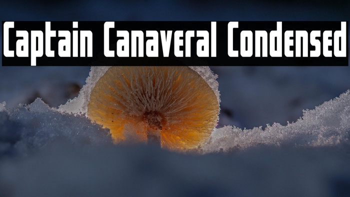 Captain Canaveral Condensed Example 3