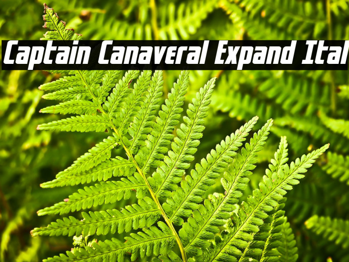 Captain Canaveral Expand Ital Example 1