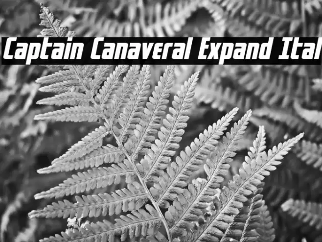 Captain Canaveral Expand Ital Font examples