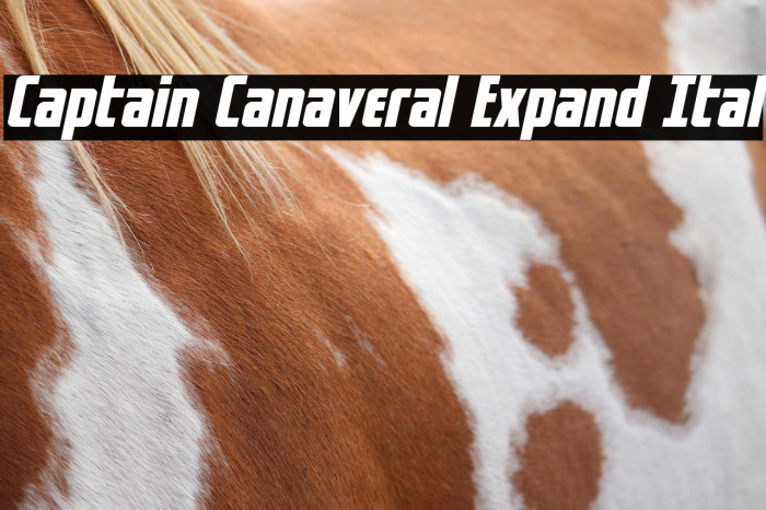 Captain Canaveral Expand Ital Example 2