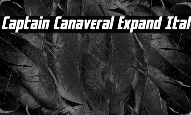 Captain Canaveral Expand Ital Font examples