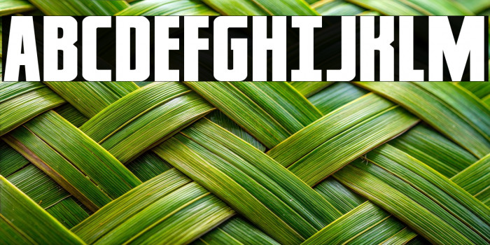 Captain Canaveral Expanded Example 1