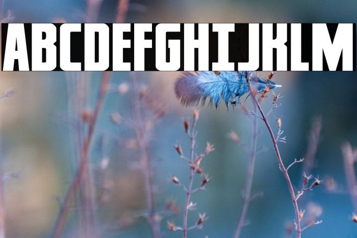 Captain Canaveral Expanded Example 2