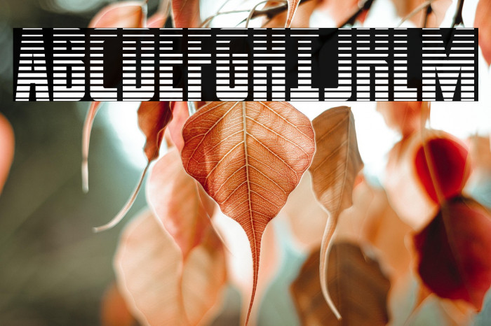 Captain Canaveral Gradient Example 2