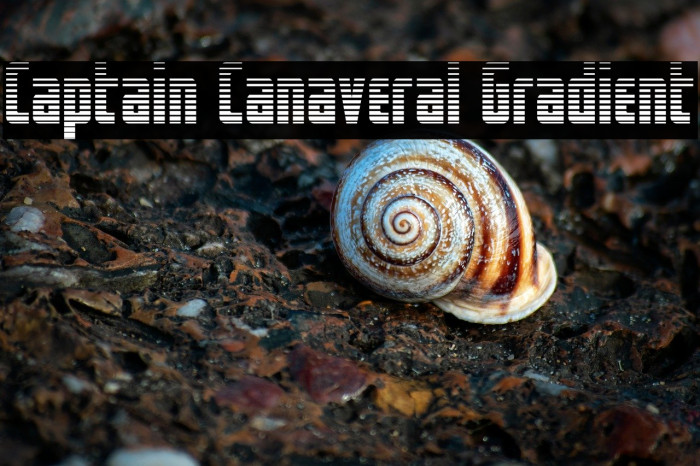 Captain Canaveral Gradient Example 1