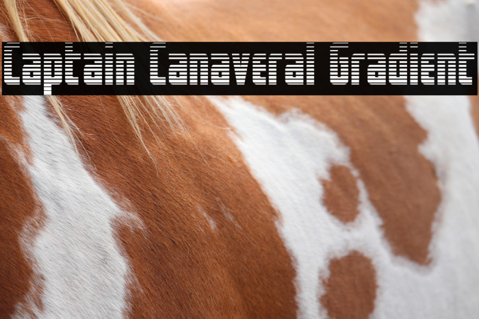 Captain Canaveral Gradient Example 3