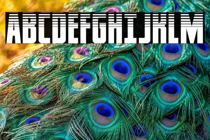 Captain Canaveral Halftone Example 2