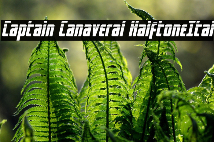 Captain Canaveral HalftoneItal Example 1