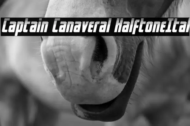 Captain Canaveral HalftoneItal Font examples