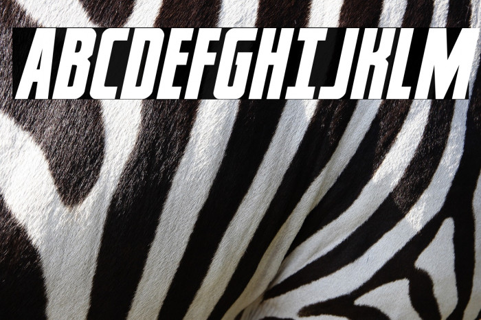 Captain Canaveral Italic Example 2