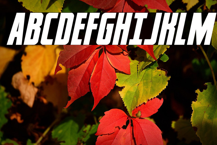 Captain Canaveral Italic Example 3