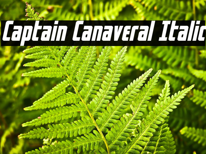 Captain Canaveral Italic Example 3