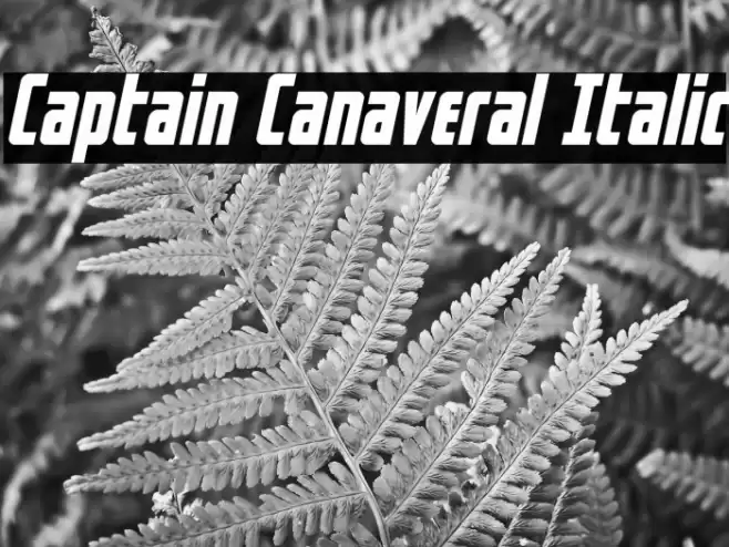 Captain Canaveral Italic Font examples