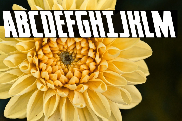 Captain Canaveral Leftalic Example 2