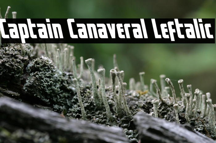 Captain Canaveral Leftalic Example 3