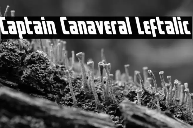 Captain Canaveral Leftalic Font examples