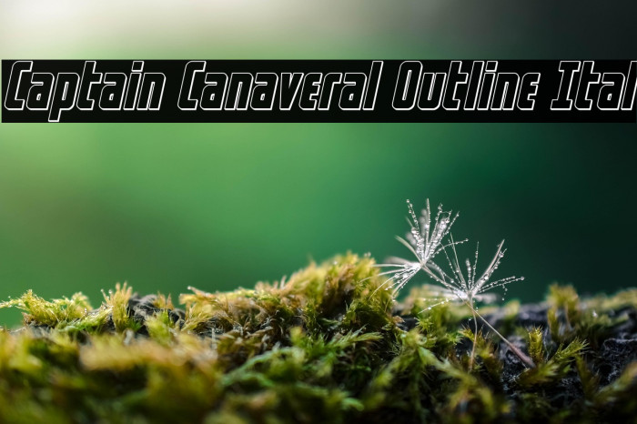 Captain Canaveral Outline Ital Example 2