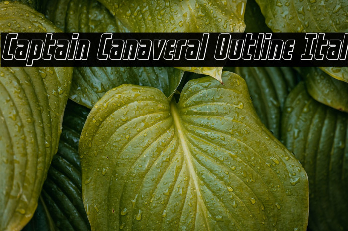 Captain Canaveral Outline Ital Example 3