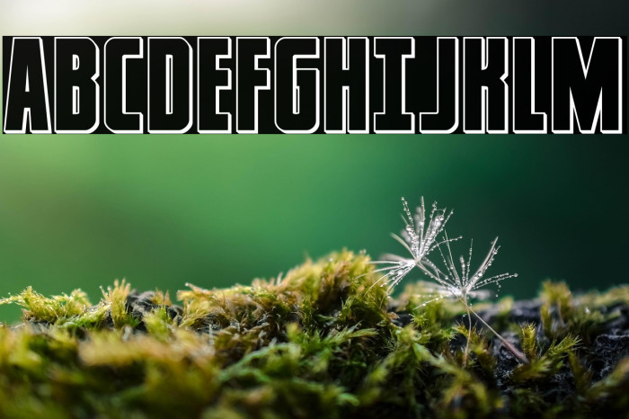 Captain Canaveral Outline Example 1